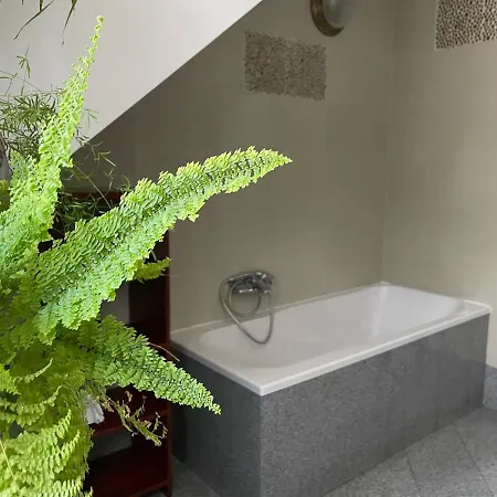 Gallus- Z Klimatyzacja ベッド・アンド・ブレックファスト クリニツァ・モルスカ