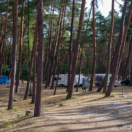 Gallus- Z Klimatyzacja