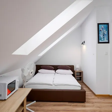 Gallus- Z Klimatyzacja ベッド・アンド・ブレックファスト