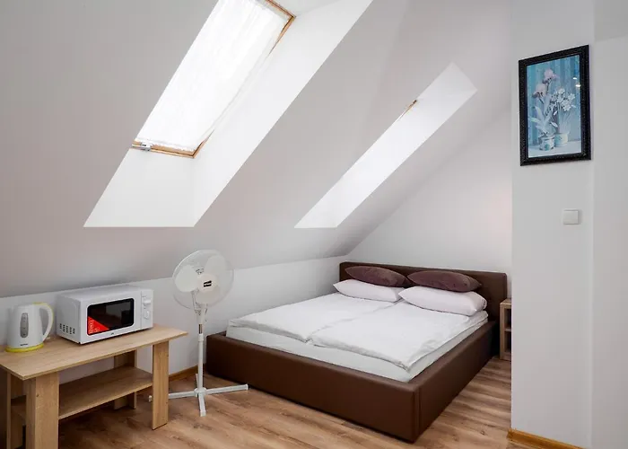 Gallus- Z Klimatyzacja 住宿加早餐酒店 4*