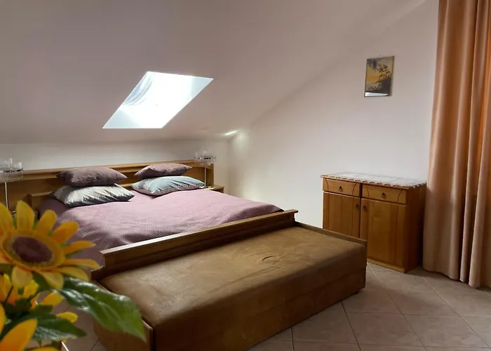 Gallus- Z Klimatyzacja 库瑞尼卡慕斯卡