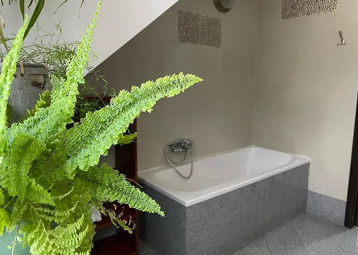 Gallus- Z Klimatyzacja 住宿加早餐酒店 库瑞尼卡慕斯卡