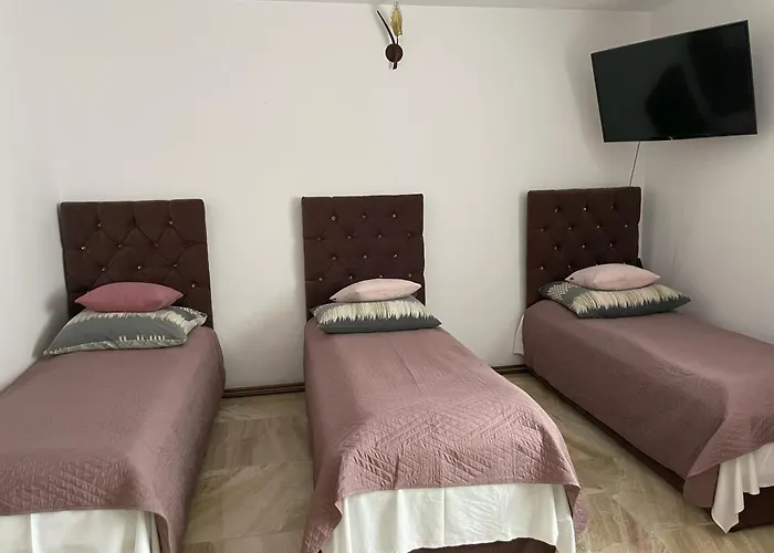 Gallus- Z Klimatyzacja 住宿加早餐酒店 4*