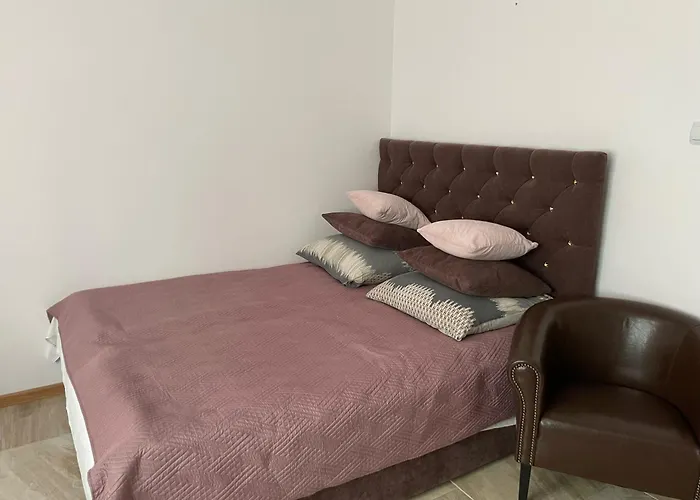 Gallus- Z Klimatyzacja 4* 库瑞尼卡慕斯卡