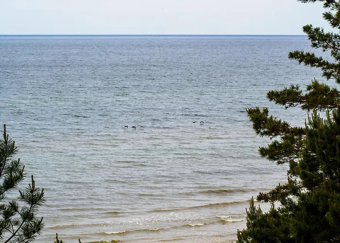 Gallus- Z Klimatyzacja 4* 库瑞尼卡慕斯卡