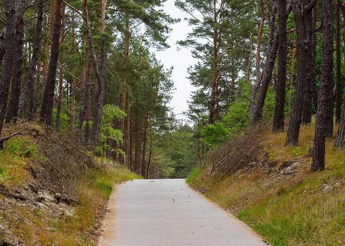 住宿加早餐酒店 Gallus- Z Klimatyzacja 4*