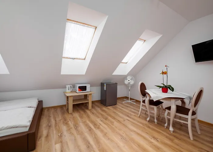 住宿加早餐酒店 Gallus- Z Klimatyzacja