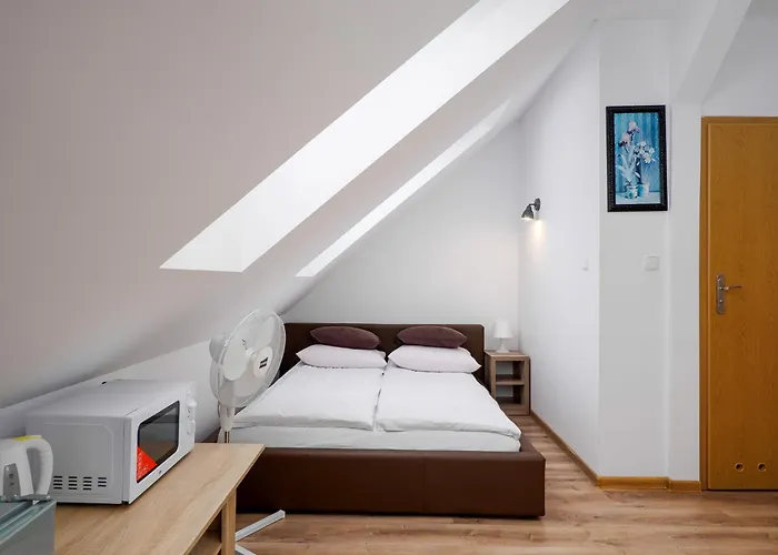 Gallus- Z Klimatyzacja 住宿加早餐酒店